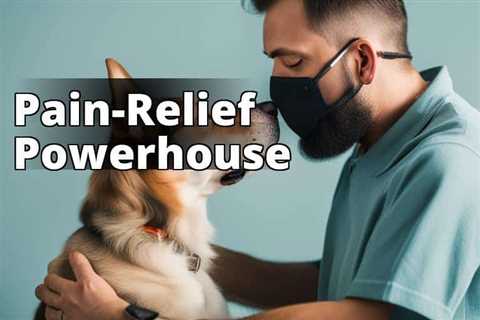 Unlock the Power of CBD Oil for Pain Relief in Dogs – A Complete Guide
