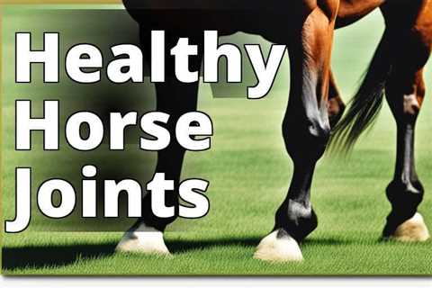 Boost Your Horse’s Joint Health with CBD Oil: A Complete Guide