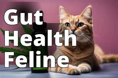 Boost Cat Digestion Naturally with CBD Oil Benefits