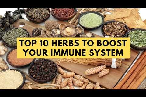 Top 10 Herbs To Boost Your Immune System