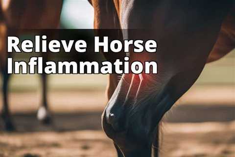 The Ultimate Guide to CBD Oil’s Remarkable Benefits for Horse Inflammation