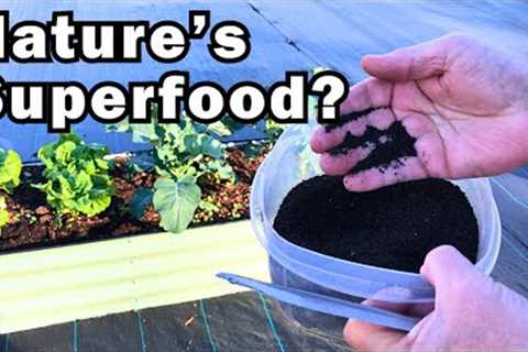 Boost Your Garden''s Growth: Unleashing the Power of Worm Castings for Supercharged Fertilization!