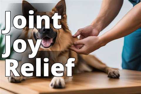 Say Goodbye to Joint Pain in Dogs: The Power of CBD Oil