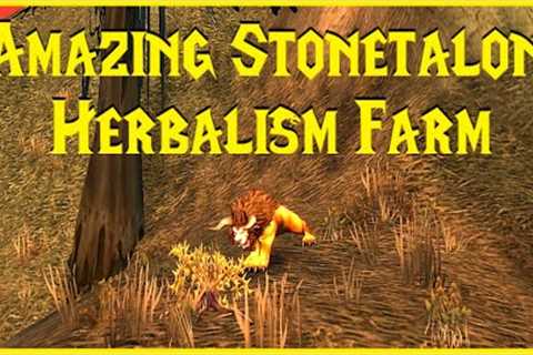 Season of Discovery: Amazing Stonetalon Herbalism Farm