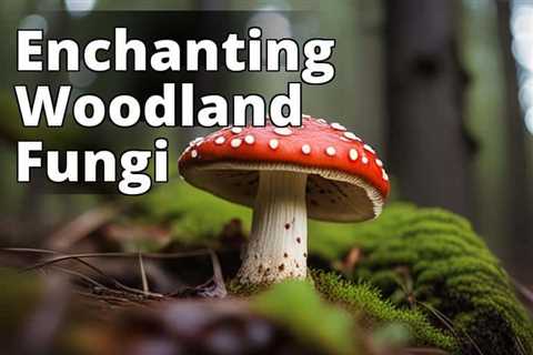 The Enigmatic Amanita Muscaria: Exploring its Distribution, Habitat, and Cultural Significance