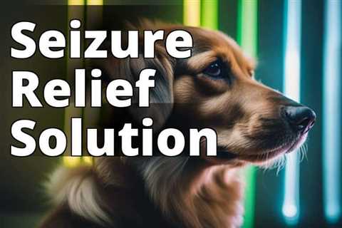 How CBD Oil Helps Control Seizures in Dogs: A Pet Owner’s Ultimate Guide