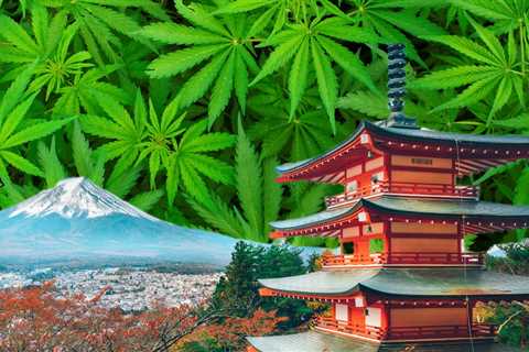 Japan Slowly Ripping the Cannabis Band-Aid Off - Cannabis Medicines Now Okay, Smoke Weed for Fun..