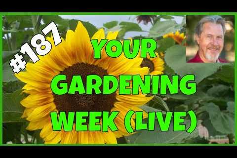 Gardening Lessons Learned (Q&A)