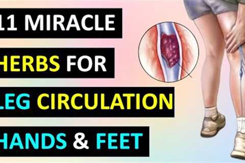 11 MIRACLE HERBS For Leg Circulation, Feet & Hands