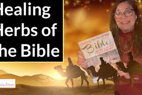 Healing Herbs and Oils of the Bible Plus Addressing Some Myths