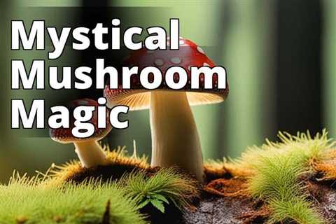 Discover the Power of Amanita Muscaria Powder: The Ultimate Guide