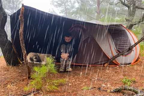 2 Days in the Forest in Heavy Rain! • Rain Camping, Rainstorm, Flood, Bad Weather
