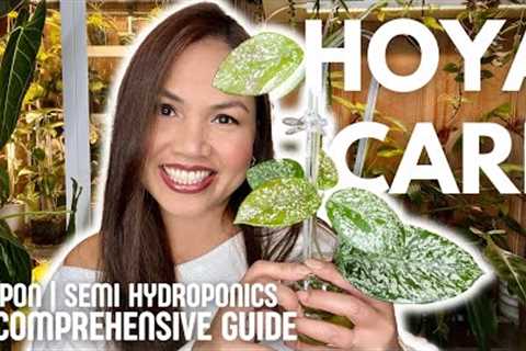 HOYA CARE in PON and Semi-Hydroponics: A Comprehensive Guide 🌿