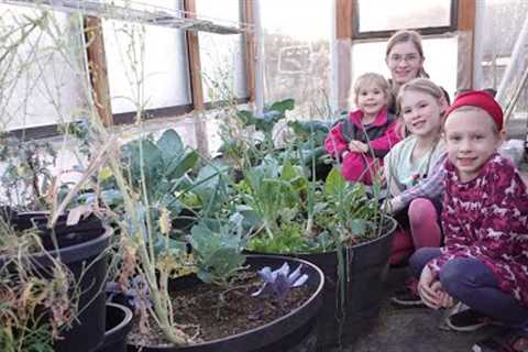 WINTER Garden Update! What''s Growing in DECEMBER on our Large Family Homestead?