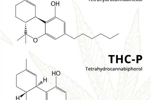 DELTA 8 THC Vs THC-H: Which Is Best In 2023?