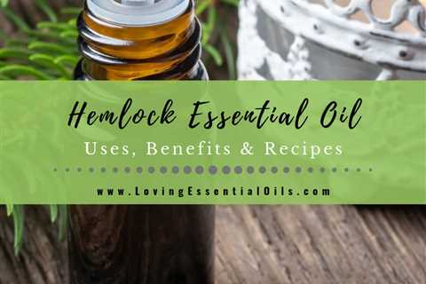 Hemlock Essential Oil Uses, Benefits and Recipes aka Tsuga