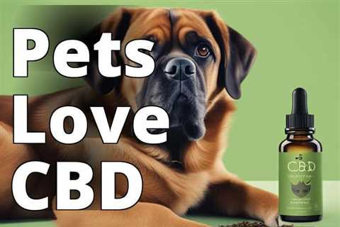 Understanding CBD Pet Oils: Benefits, Types, Usage, and Dosage