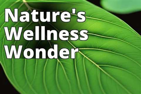 From Nature’s Pharmacy: The Health Benefits of Kratom