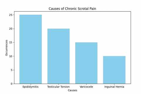 Effective Diagnosis and Management of Chronic Scrotal Pain