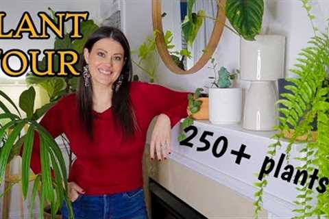 Full Houseplant Home Tour | 250+ Plants | My Entire Plant Collection