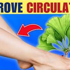 Boost Circulation: Top 8 Herbs For Improved Blood Flow To Legs and Feet