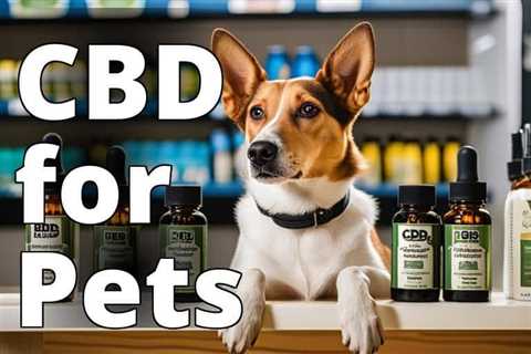 Your Guide to the Best CBD for Dog Anxiety Nearby