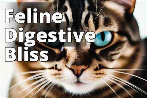 Unveiling the Secrets of CBD Oil Benefits for Cat Digestive Health: Expert Advice
