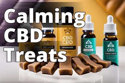 Top-Rated CBD for Dogs with Anxiety: Treats Unraveled