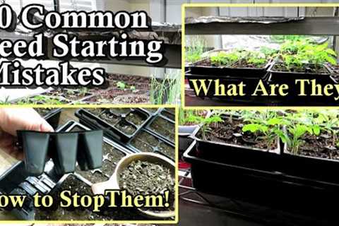 10 Common Seed Starting Mistakes and How to Prevent Them: Light, Water, Soil, & Fertilizer Tips