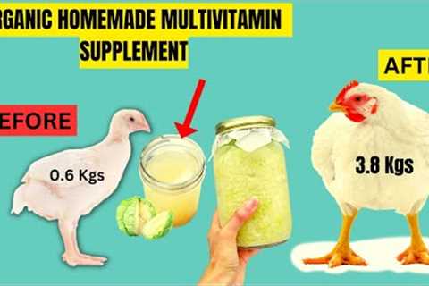 NO. 1 MULTIVITAMIN VEGETABLE CHICKEN SUPPLEMENT | EASY HOMEMADE ORGANIC GROWTH BOOSTER