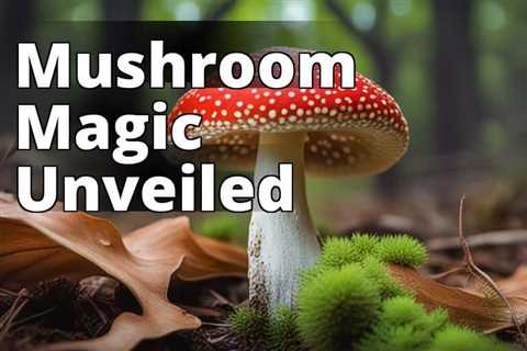 Amanita Muscaria Through the Ages: Exploring its Rich Historical Significance