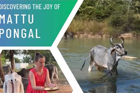 South India''s Pongal Festival: Embracing Tradition and Sustainability at our Organic Farm