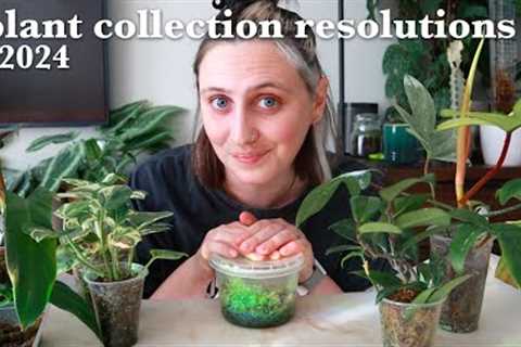 Plant Collection Resolutions 🪴 2024