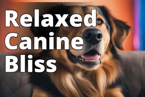 A Pet Parent’s Guide to Using Hemp Oil for Dog Anxiety