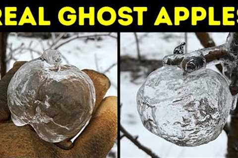 If You See a Ghost Apple, This Is What It Means