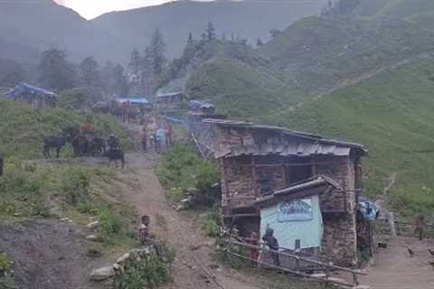 Organic Mountain Village Life In Nepal ! Most Peaceful And Relaxing Life...Primitive Rural Village
