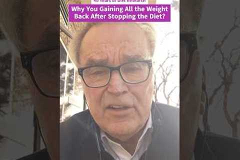 Why You Gaining All the Weight Back After Stopping the Diet? Stop Yo-Yo Dieting