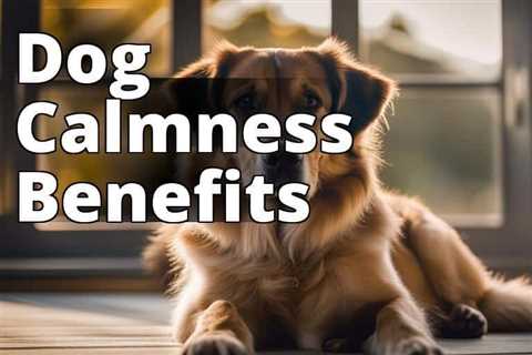 Hemp Seed Oil: The Natural Solution for Calming Anxious Dogs