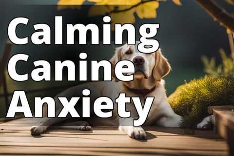 Ease Dog Anxiety Naturally with These Effective Methods