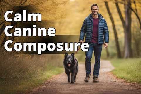 Walking Woes? Learn How to Calm Anxious Dogs on Walks