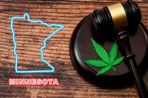 MN Republicans Call for Special Session to Address ‘Glaring Issues’ with Cannabis Legalization Law