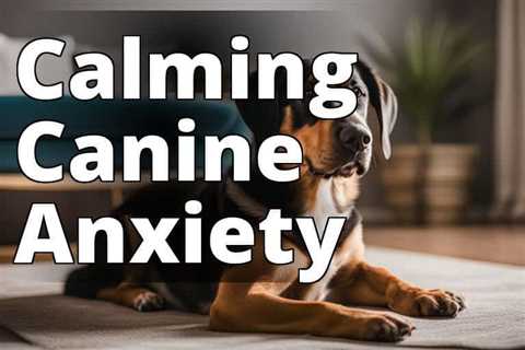 Calm Your Canine: Natural Home Remedies for Dog Anxiety