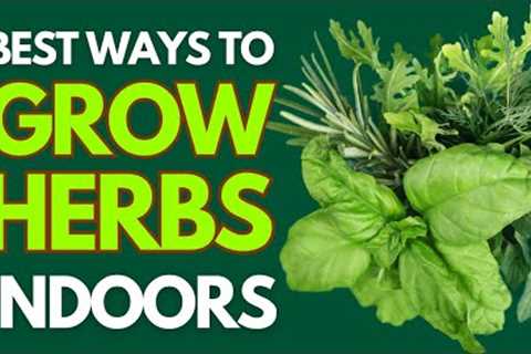 6 Proven Effective Ways to Grow Herbs Indoors