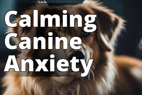 Calming Techniques for Dogs: Natural Ways to Reduce Anxiety