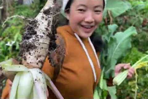 Organic Living in Dzongu 🌱. #nature #organic #organicfarming #mountains