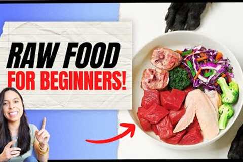 5 Common Mistakes to Avoid! 👉 Easy Raw Dog Food Recipe 🐶