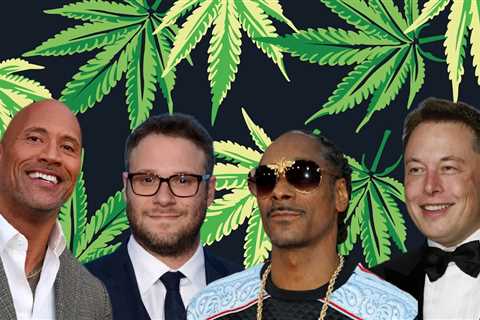 Your Dream Smoke Sesh Partner? Senator Warren Picked The Rock, Who Do You Got, Snoop? Musk? Rogen?