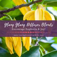 Ylang Ylang Diffuser Blends - 10 Joyful Essential Oil Recipes