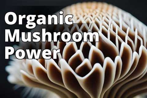 Winner: Boost Your Brain Power with Organic Lion’s Mane Mushroom Capsules