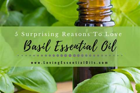 Basil Essential Oil Uses and Benefits with Diffuser Blend Recipes